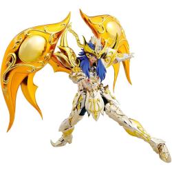 Saint Cloth Myth EX -...